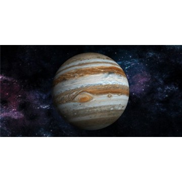 Jupiter Photo License Plate